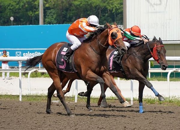 Pacific Spirit brings up milestone for Duric