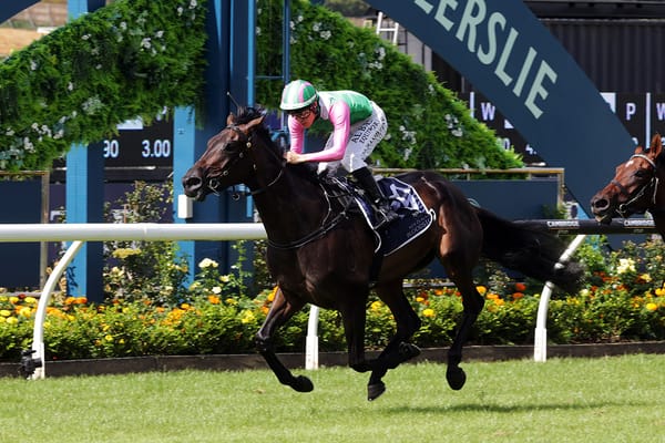 Forsman feeling positive with trio ahead of Oaks