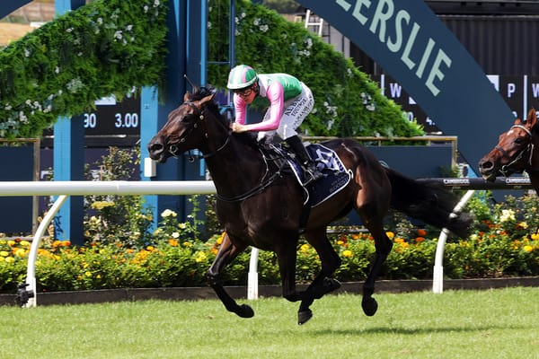 Forsman eyeing Queensland trip for Positivity