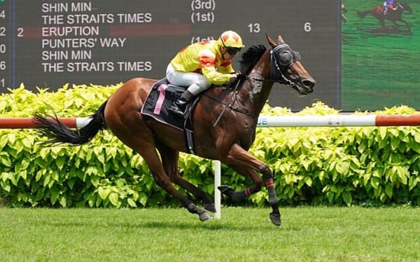 Sabah Ace returns to the winners circle