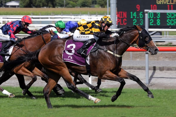 Snazzytavi using South Waikato Cup as a stepping stone