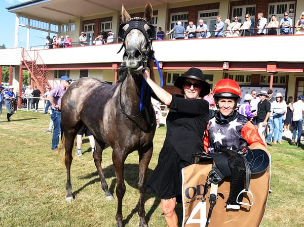 The Grey Goose to continue on path to Southern Alps