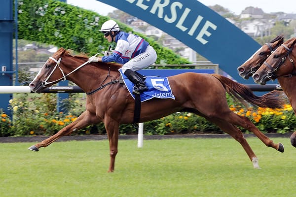 Velocious dominant in Sistema Stakes