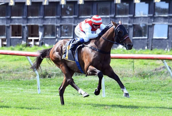 Whangaehu weaves his way into Auckland Cup