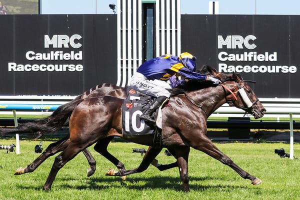 Wolfy by a whisker at Caulfield