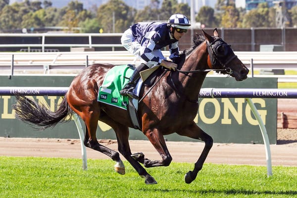 Young Werther stakes Australian Cup claim