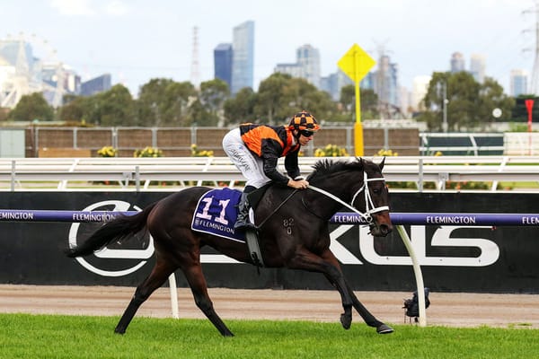 Almanzor fillies quinella VRC St Leger