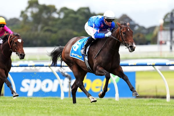 Sutton unveils another impressive juvenile