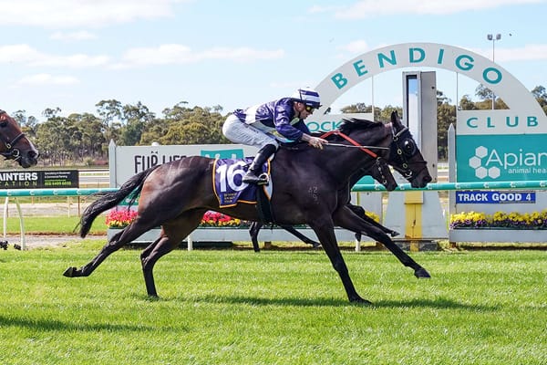 Progressive Samuel Langhorne shapes as stayer of the future