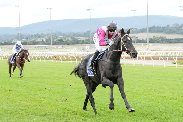 Regally bred hurdle winner at Pakenham