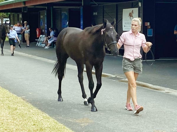 First stakes winner for Peterken