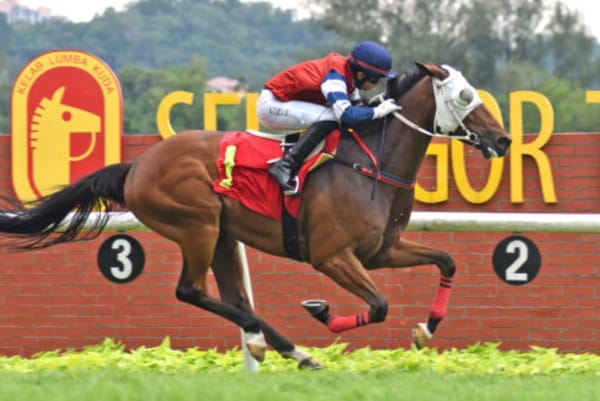 New Zealand breds dominate at Selangor