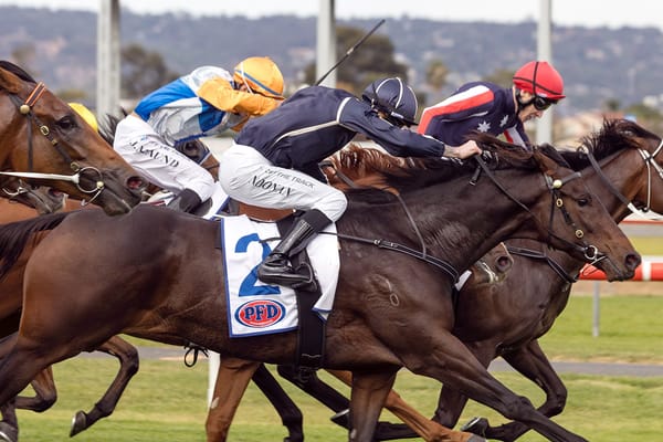 Another Derby beckons Bold Soul