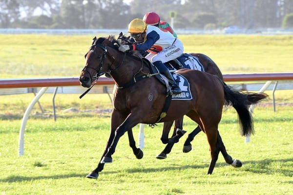 Forsman pair have Easter Handicap in their sights