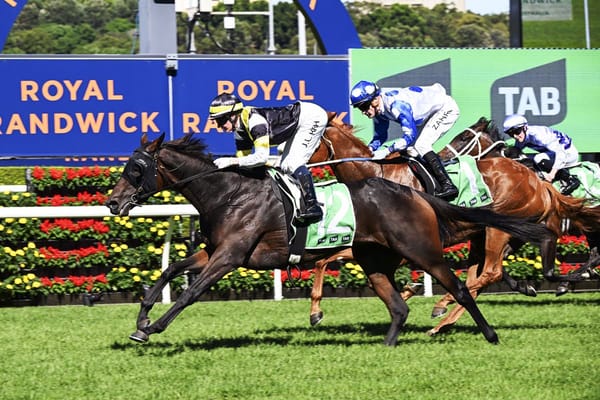 Blandford investment in mare continuing to pay off