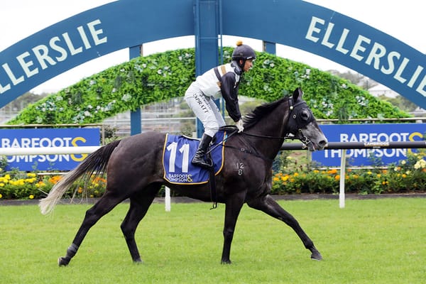 Good Oil ready to strike in Cup