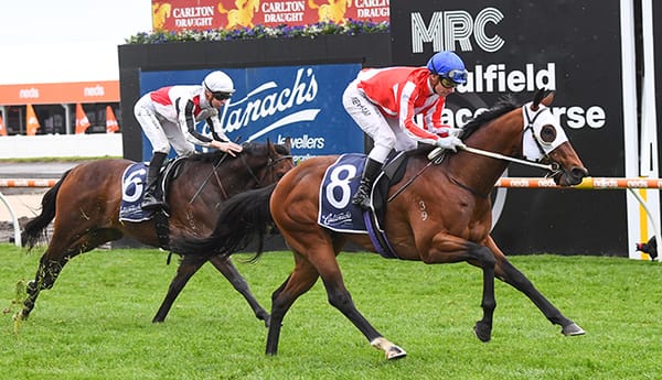 Grand Impact ready to reemerge