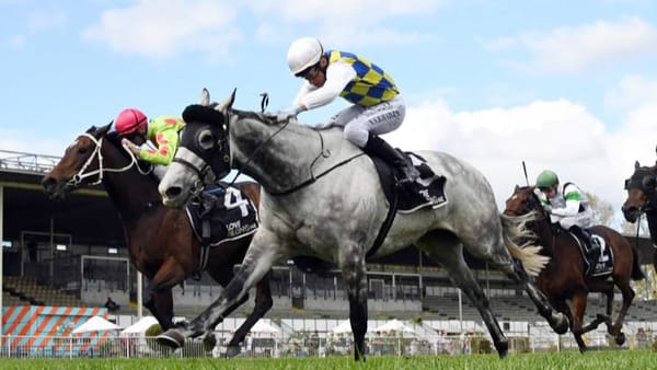 Chattahoochee to target Hawkes Bay Spring Carnival