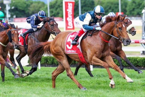 Jimmy starts run for Stradbroke