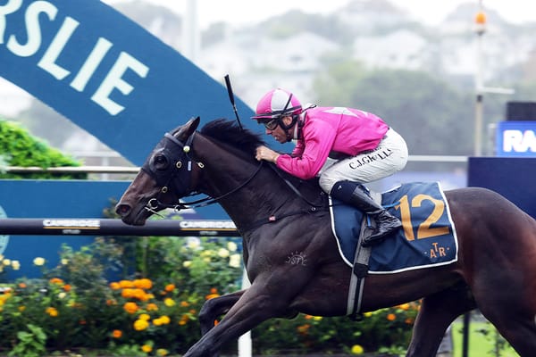 Sun shining on potential Group One hope