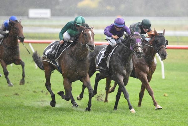 Mr Mojo Risin' makes winning return