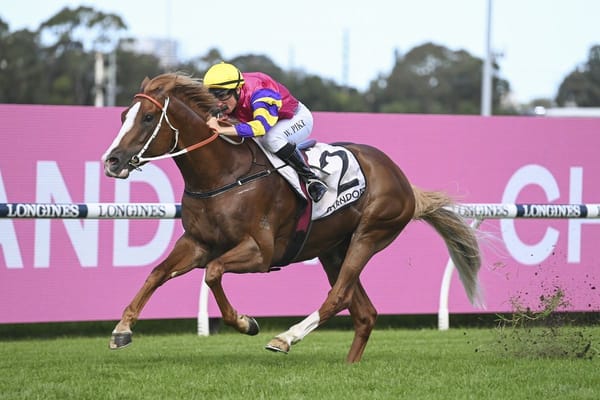 Mr Mozart to stand at Highview