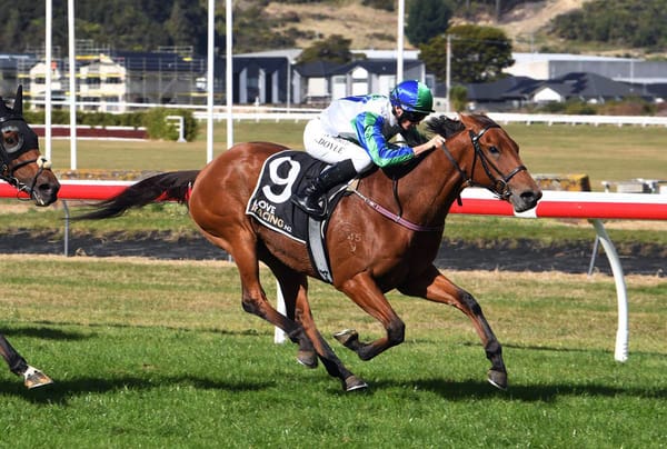 Nereus strikes gold at Trentham