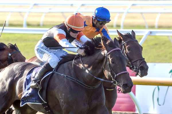 Patience pays off with foundation mare