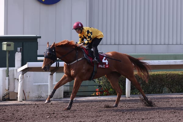 Flying Ace limbers up for Chairman’s Sprint Prize with soft trial