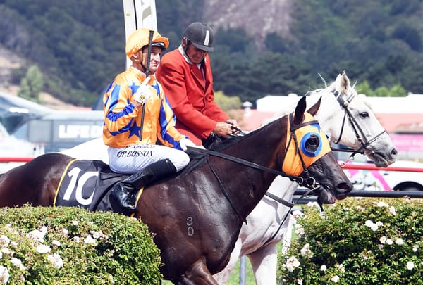 Quintessa seeking to upset the applecart in Australian Oaks