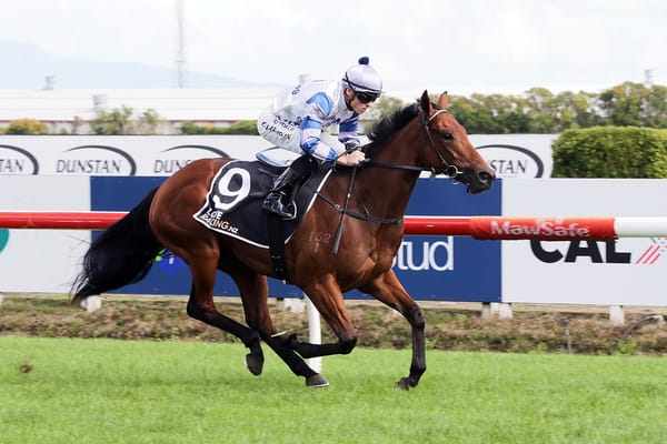 Paddock pick working out nicely