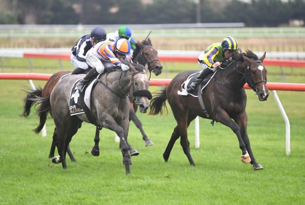 Fortuna gets impressive debut winner