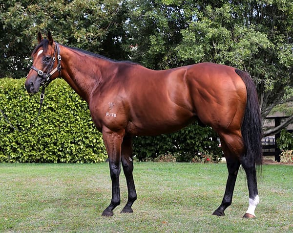 Super Easy Western Australia bound