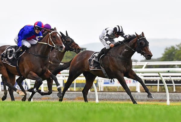 Sharrock trio go head-to-head in Flying Handicap