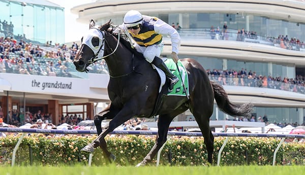 Fancies draw wide in SA Derby