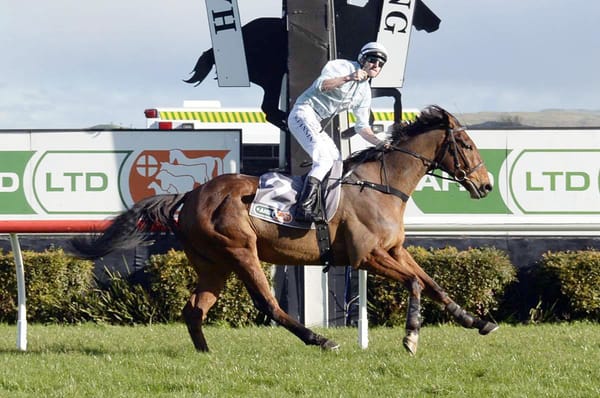 Champion jumper West Coast to resume at Waverley