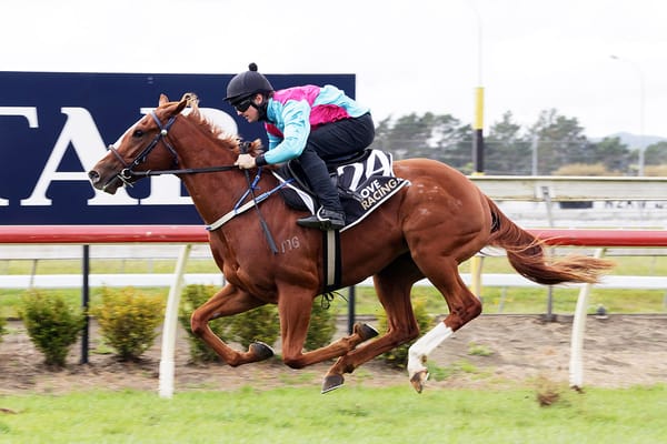 Surgenor set to unveil exciting juvenile