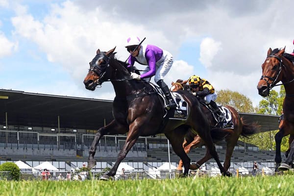 Zaila set to resume at Ellerslie