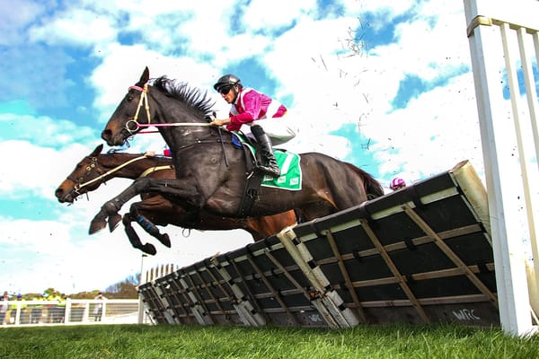 Affluential wins at the Bool