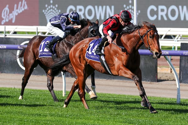 Winning Australian debut for Amberite