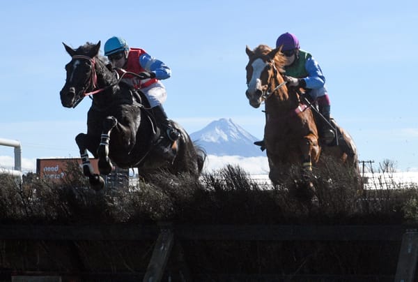 Auld Jock collects success for Brosnans