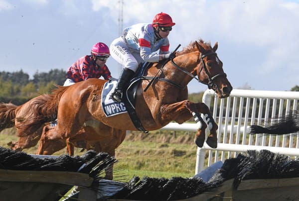 Berry The Cash a class above in Awapuni Hurdle