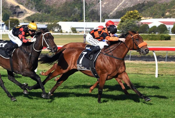 Bradman on song for Trentham test