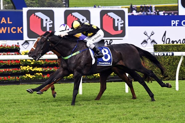 Casual Connection Queensland bound