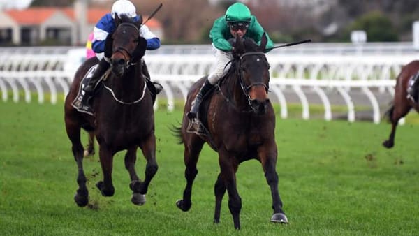 O’Ceirin in good order for campaign