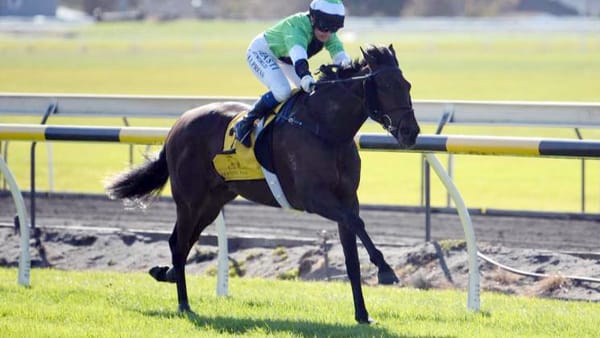 Raziah looking to continue fillies Castletown record