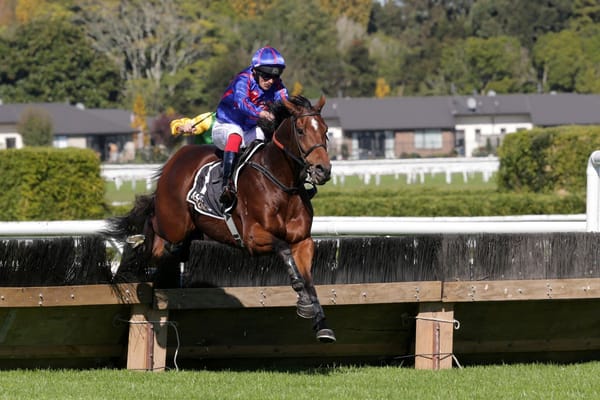 Talented hurdler back to his best at Te Rapa