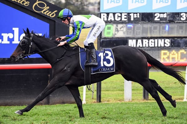 Fall For Cindy secures valuable black-type win
