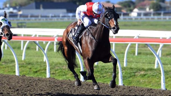 Local trainers bag a double at Awapuni