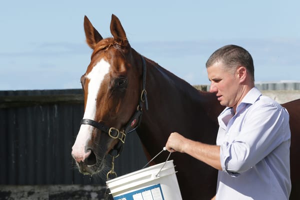 Greene duo to make most of MAAT races